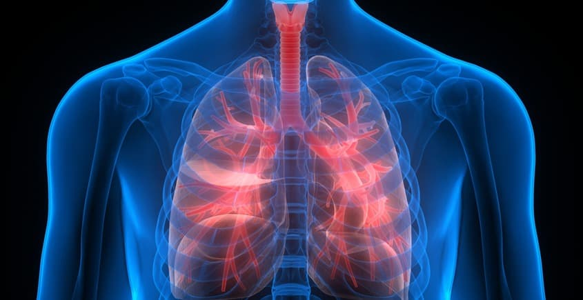 İşe Giriş Tetkikleri - 2